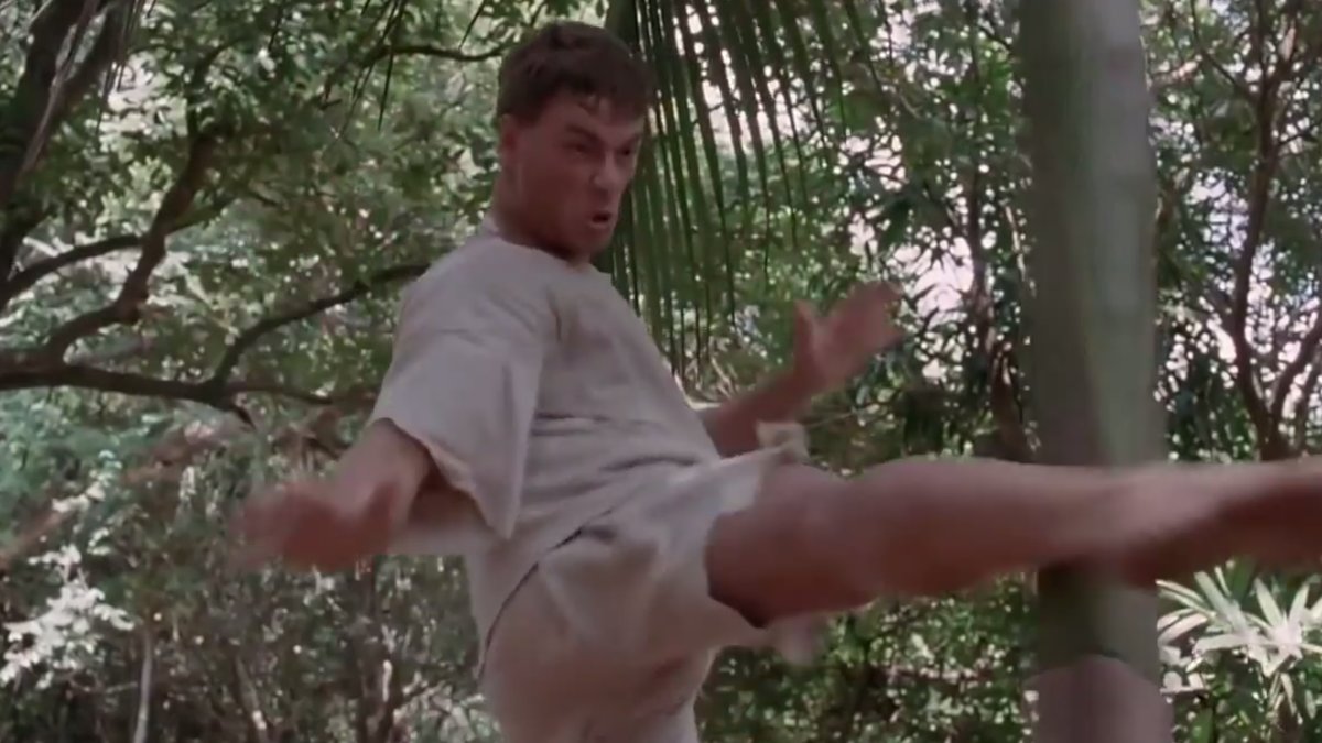 9. För alla er som sett filmen Kickboxer med Van Damme: Scenen då han sparkar på en palm tills benet skiftar i lila – har ni också svårt att radera den från hornhinnan?